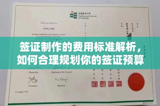 顺城签证制作的费用标准解析，如何合理规划你的签证预算